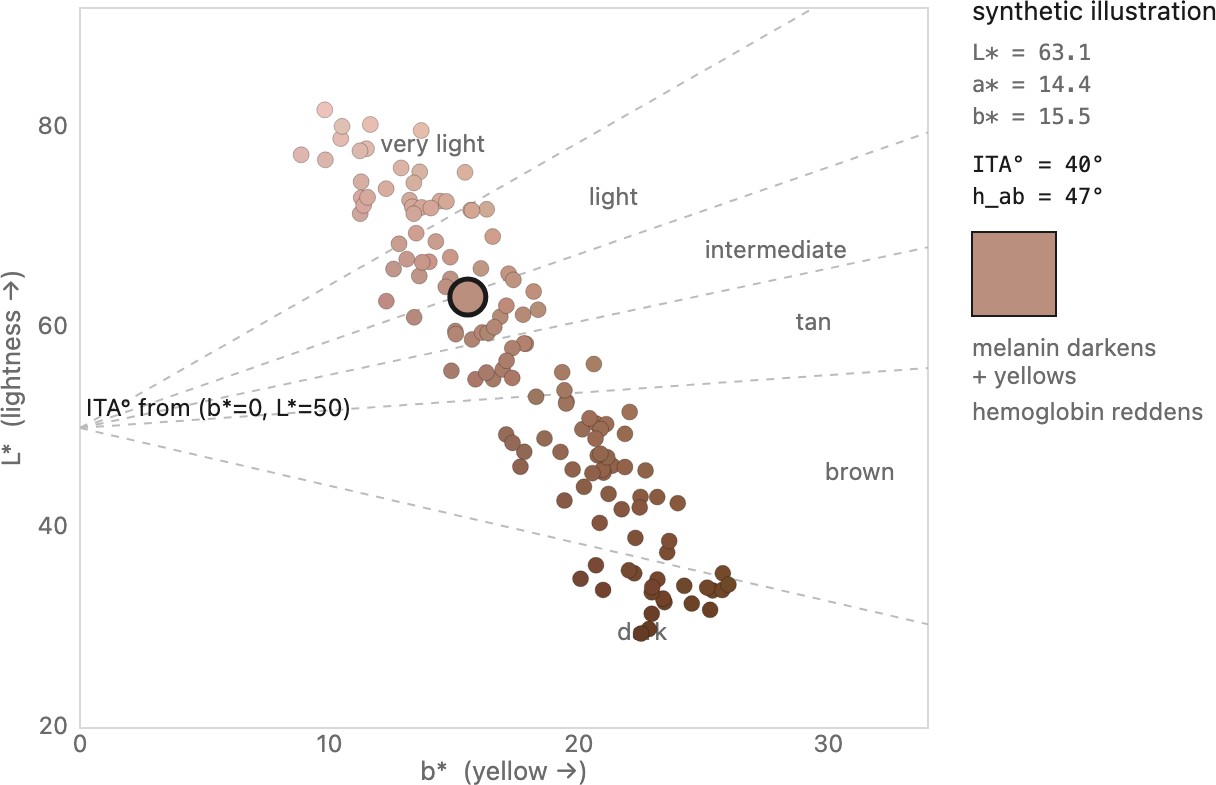 fig-skin-locus-lab