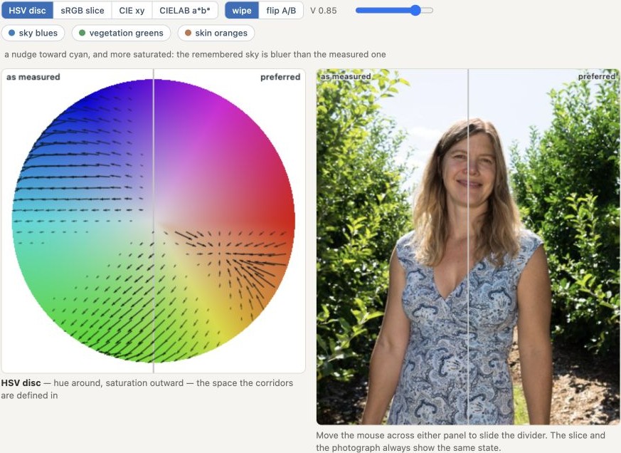 fig-preferred-color-field