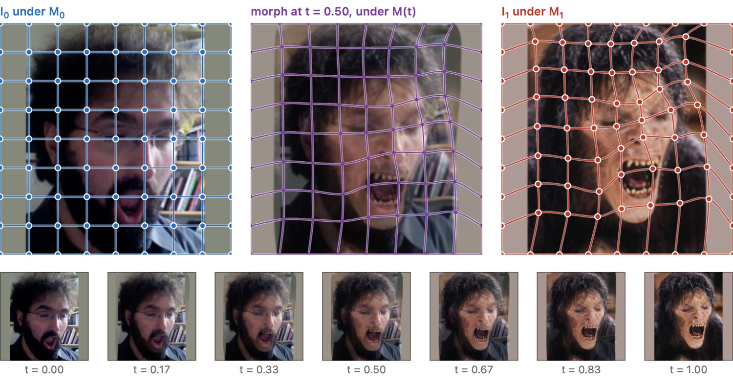fig-grid-mesh-warp