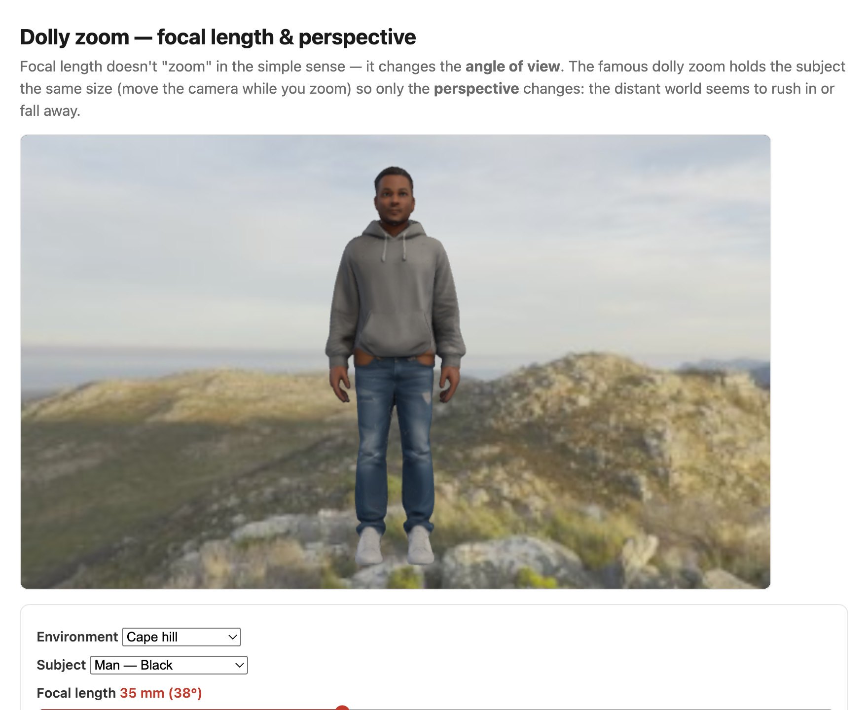 fig-dolly-zoom-sim
