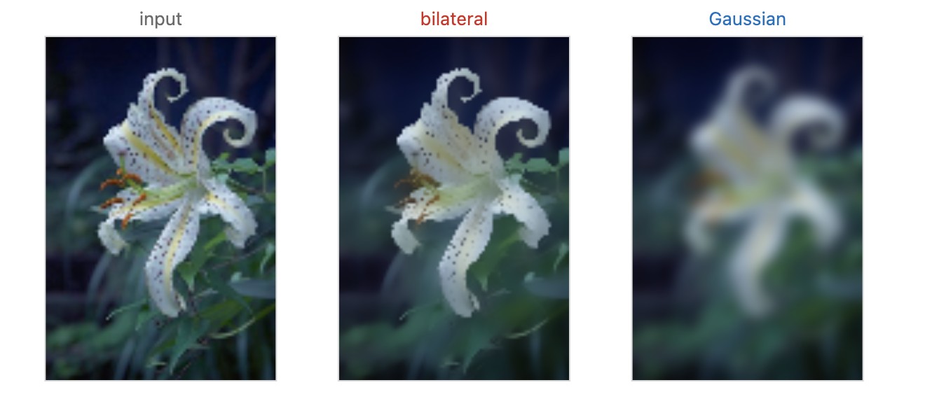 fig-bilateral-image