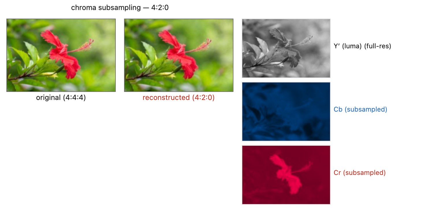 fig-chroma-subsampling-photo