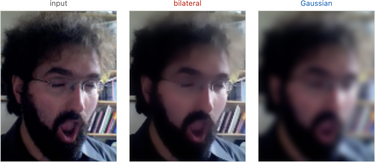 fig-bilateral-image