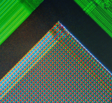 fig-photosite-micrograph