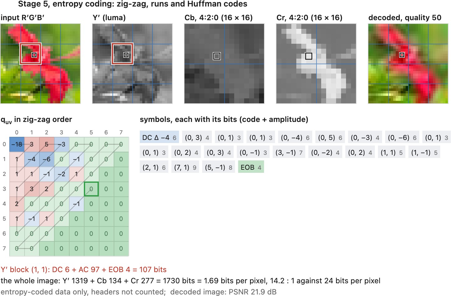 fig-jpeg-stages