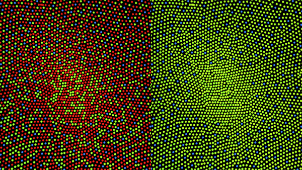 fig-cone-mosaic