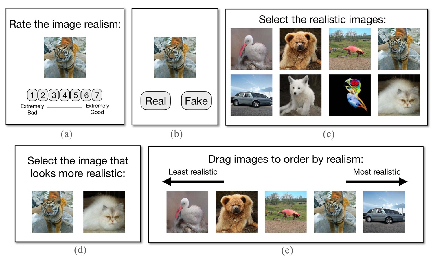 fig-output-eval-interfaces