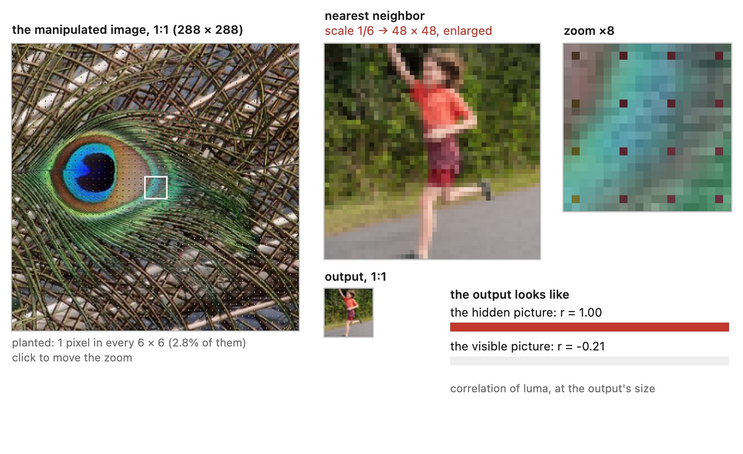 fig-nn-downsample-adversarial