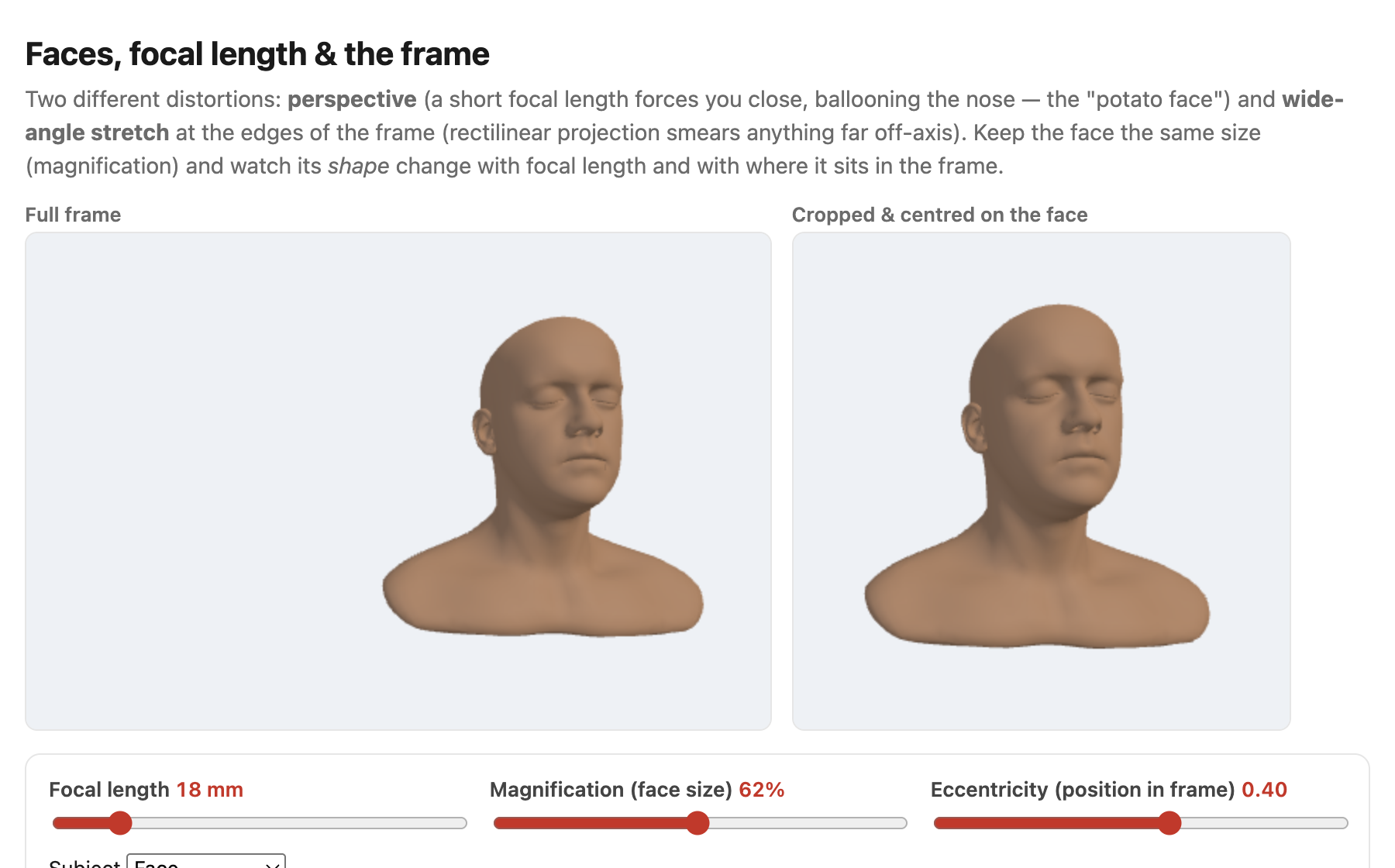 fig-face-distortion-sim