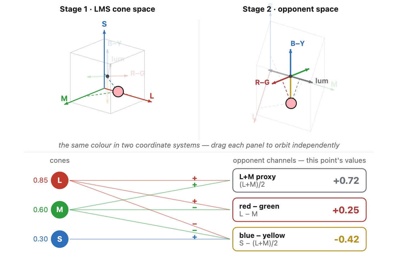 fig-lms-opponent-3d