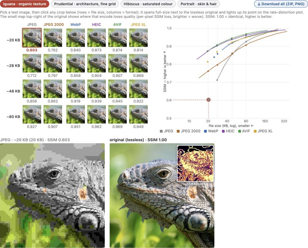 fig-format-comparison