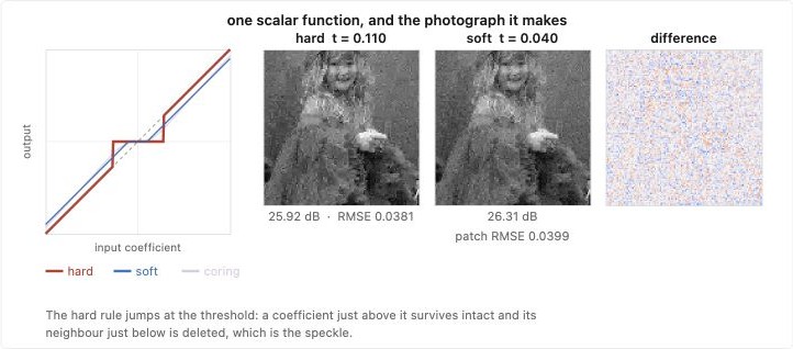 fig-shrinkage-functions