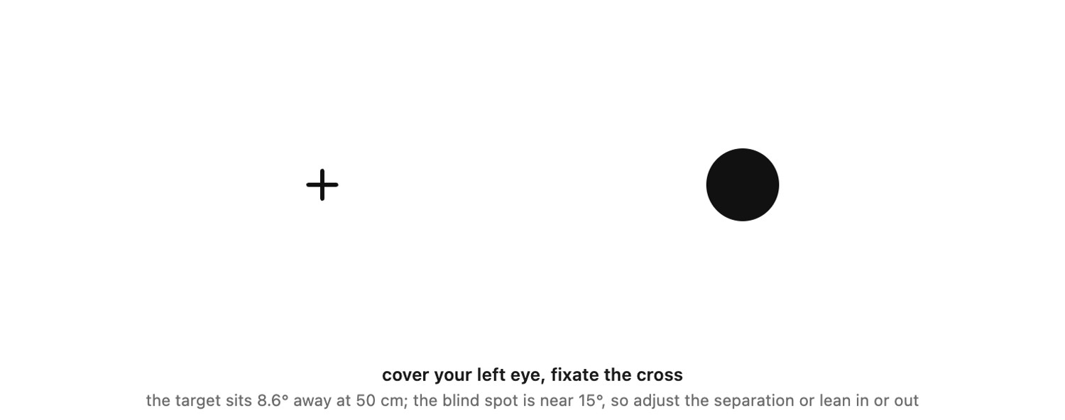 fig-blind-spot