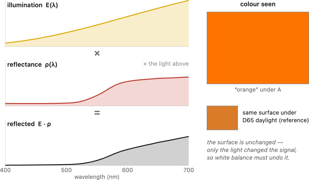 fig-illum-times-reflectance