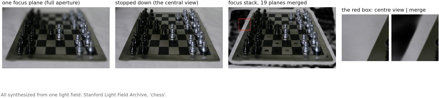 fig-closeup-focus-stack