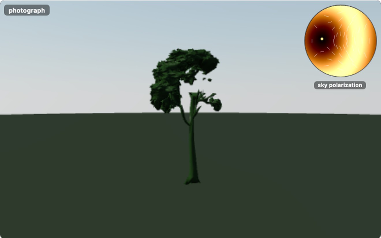 fig-polarization-vegetation
