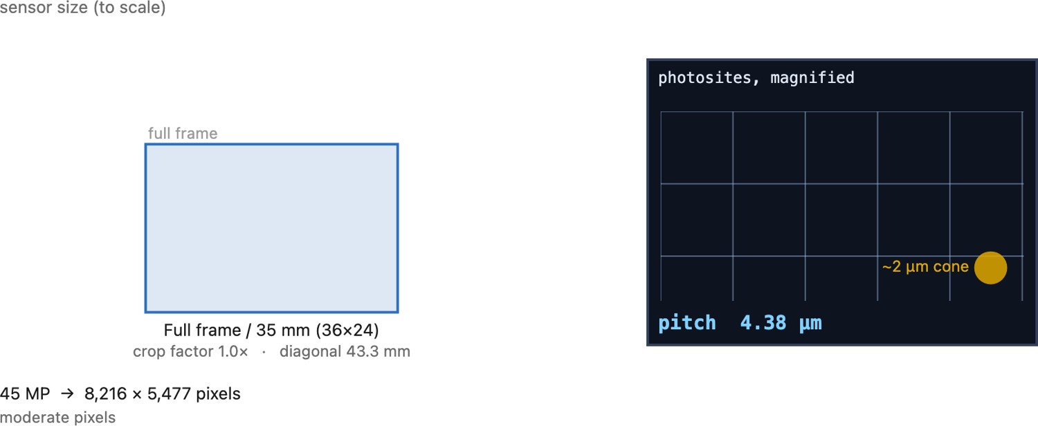 fig-sensor-size-explorer