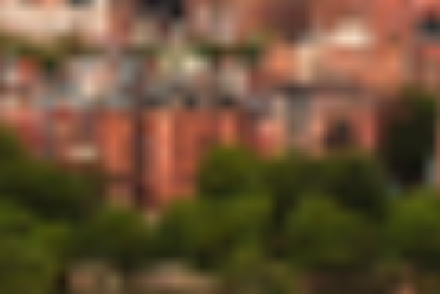 Scaling by $3.5\times$ with bilinear interpolation using `scaleLin` (zoom).