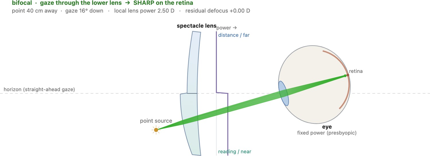 fig-bifocal-eye-raytrace