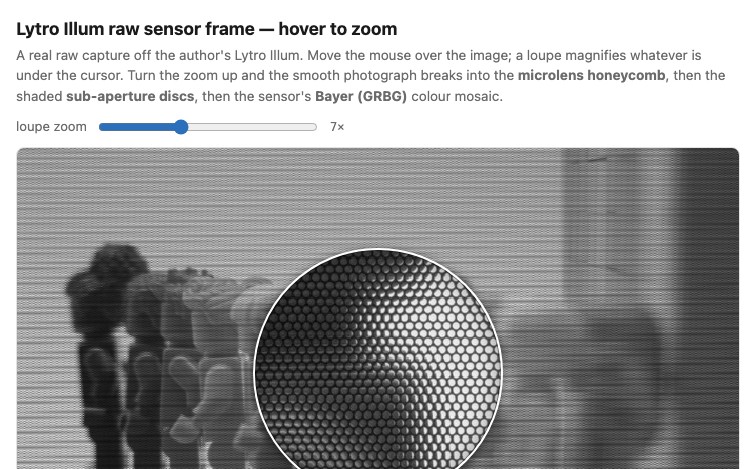 fig-lytro-illum-raw-loupe