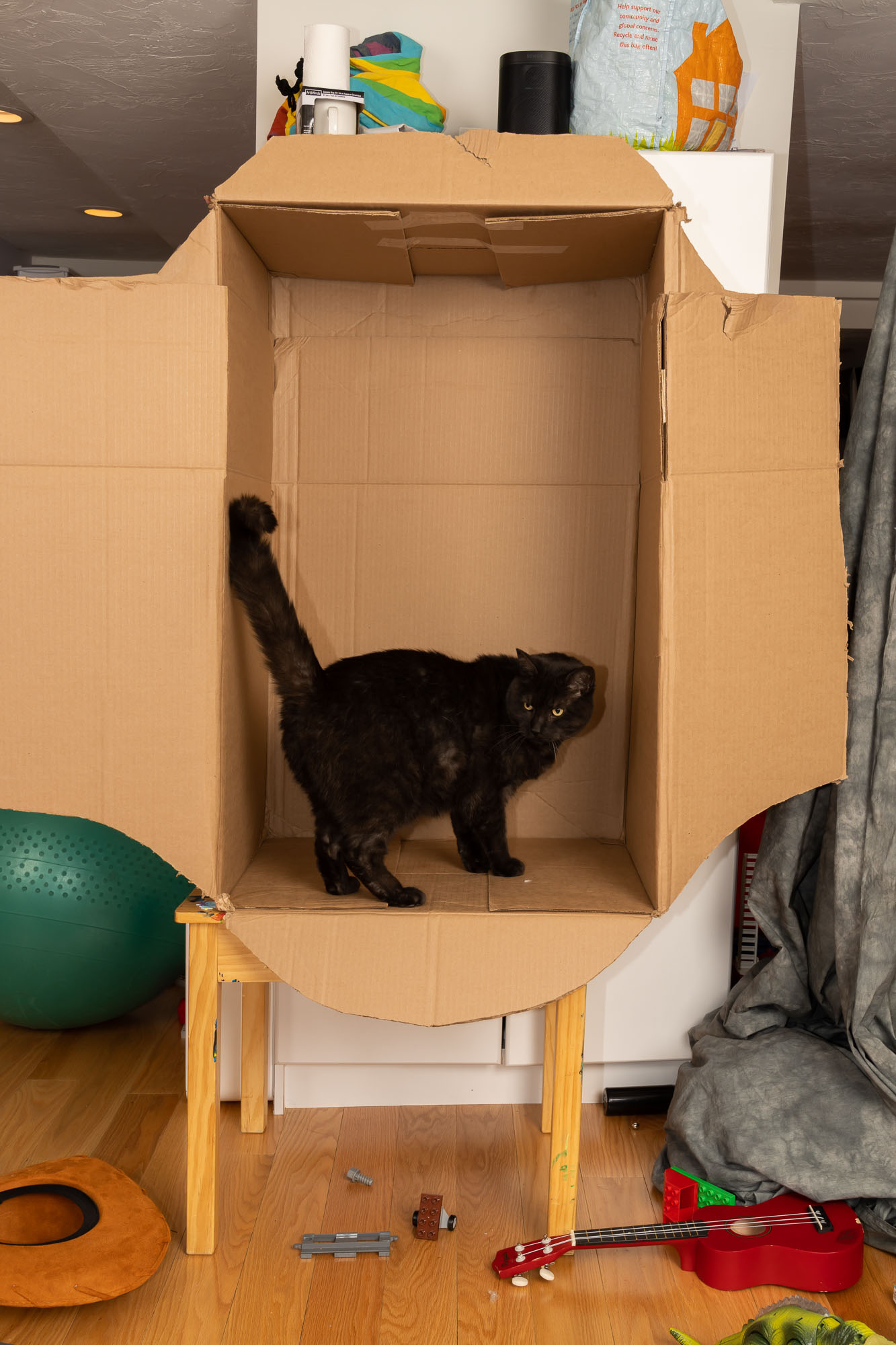 A single box, before assembly