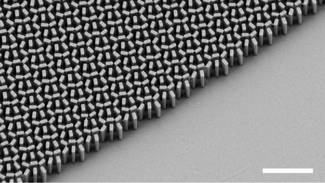 SEM micrograph of the metalens, arrangement of nanofins; the white scale bar is 300nm